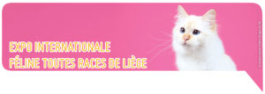 Expo féline