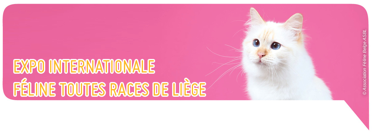 Expo féline