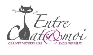 entre chat et moi
